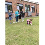 Muzische: dieren uit de visie 