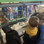 schoolreis kleuter Ieper 