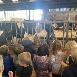 schoolreis kleuter Ieper 