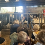 schoolreis kleuter Ieper 