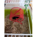 Oktober doet zijn deurtjes dicht...