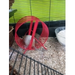 Oktober doet zijn deurtjes dicht...