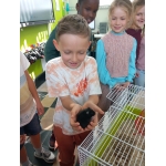 Oktober doet zijn deurtjes dicht...