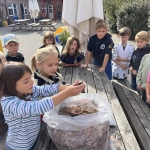 Van paddenstoelen tot soep