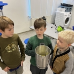 Van paddenstoelen tot soep