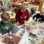 Vogeltaartjes