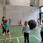 Alles met de bal