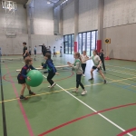 Alles met de bal