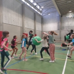 Alles met de bal