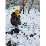 Sneeuw