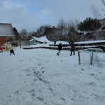 Sneeuw