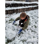 Sneeuw