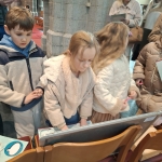 Van kerst tot krokus