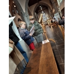 Van kerst tot krokus