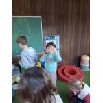 Van kerst tot krokus