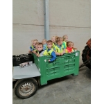 Naar de boomgaard