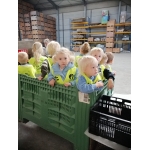 Naar de boomgaard