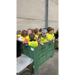 Naar de boomgaard