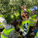 Naar de boomgaard