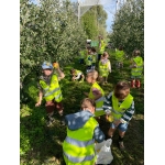 Naar de boomgaard