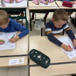 Lateralisatie