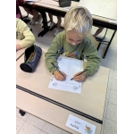 Lateralisatie