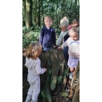 Naar het bos