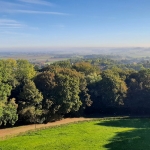 Naar het bos