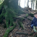 Naar het bos