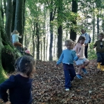 Naar het bos