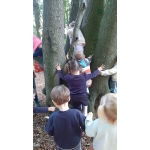 Naar het bos