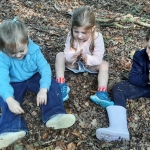 Naar het bos