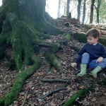 Naar het bos