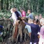 Naar het bos