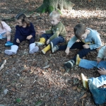 Naar het bos