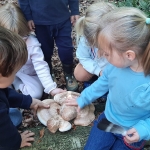 Naar het bos