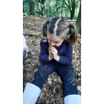 Naar het bos