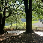 Naar het bos