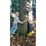 Naar het bos