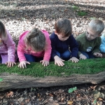 Naar het bos