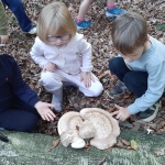 Naar het bos
