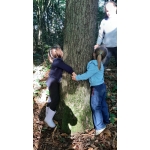 Naar het bos