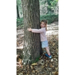 Naar het bos