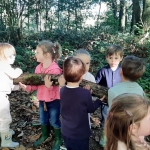 Naar het bos
