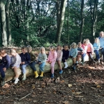 Naar het bos