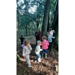 Naar het bos