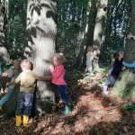 Naar het bos