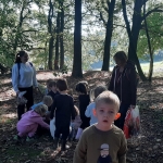 Naar het bos