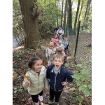 Naar het bos