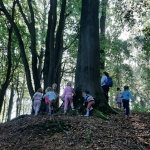 Naar het bos